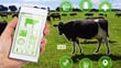 Agritech : l’intelligence artificielle au service de l’agriculture